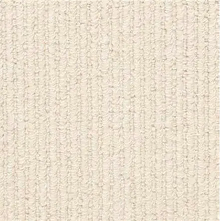 Cream textured carpet flooring for residential and commercial spaces.