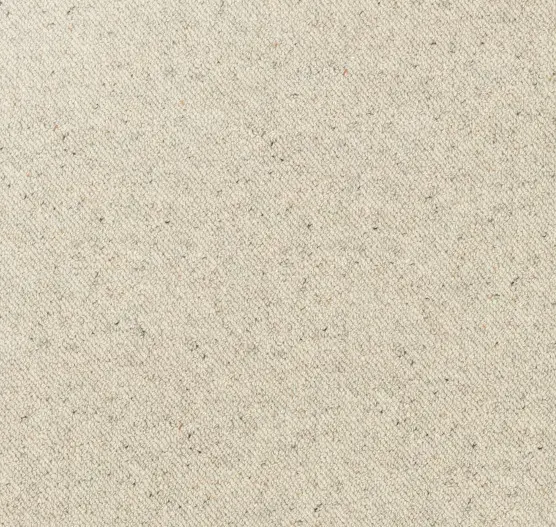 Beige carpet flooring sample for interior design.