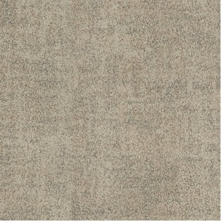 Textured beige carpet flooring for residential and commercial spaces.