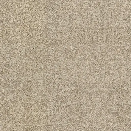 Sand-colored carpet flooring in a modern interior.