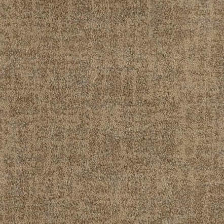 Luxurious beige carpet flooring with textured finish, ideal for residential and commercial spaces.