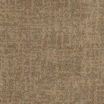 Luxurious beige carpet flooring with textured finish, ideal for residential and commercial spaces.