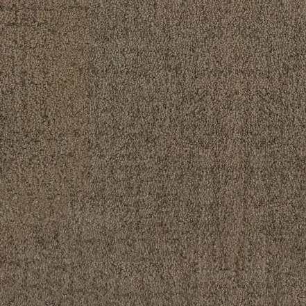 Cream brown carpet flooring with soft texture.