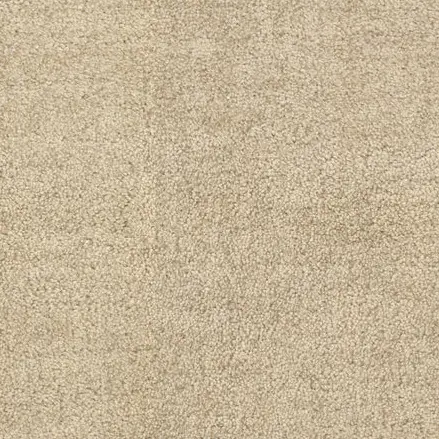 Cream textured carpet flooring with durable, high-quality materials for residential and commercial spaces.