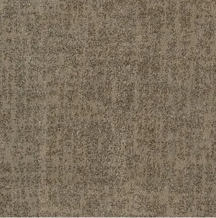 Textured carpet flooring in neutral brown tones, ideal for residential or commercial spaces.