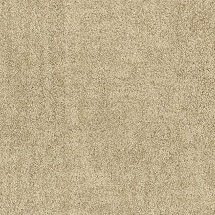 Cream textured carpet flooring in a modern interior.
