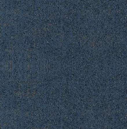 Textured navy blue carpet flooring for commercial and residential spaces.
