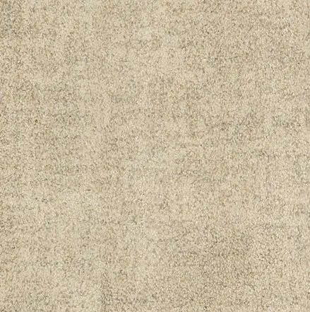 Cream-colored textured carpet flooring with a plush, soft appearance.