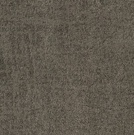 Creamy beige carpet flooring with plush texture.