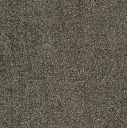 Creamy beige carpet flooring with plush texture.
