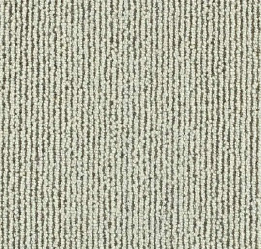Soft beige striped carpet with textured pattern, ideal for residential or commercial flooring solutions.