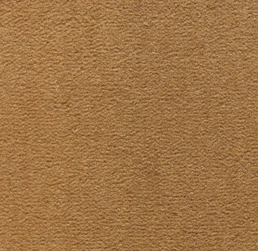 Cream-colored textured plaster wall for interior design and home decor.