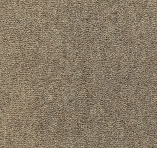 Beige carpet flooring with textured surface for living room or office spaces.