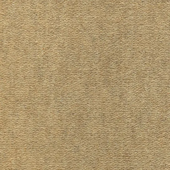 Cream-colored carpet with textured surface, ideal for flooring and interior design.