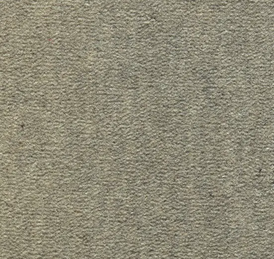 Textured beige carpet flooring ideal for residential and commercial spaces.