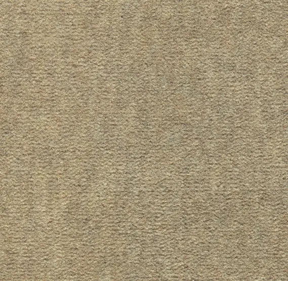 Cream-colored textured carpet flooring for residential and commercial spaces.