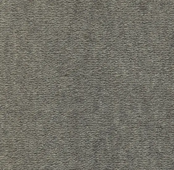 Cream-colored textured carpet flooring in a modern interior setting.