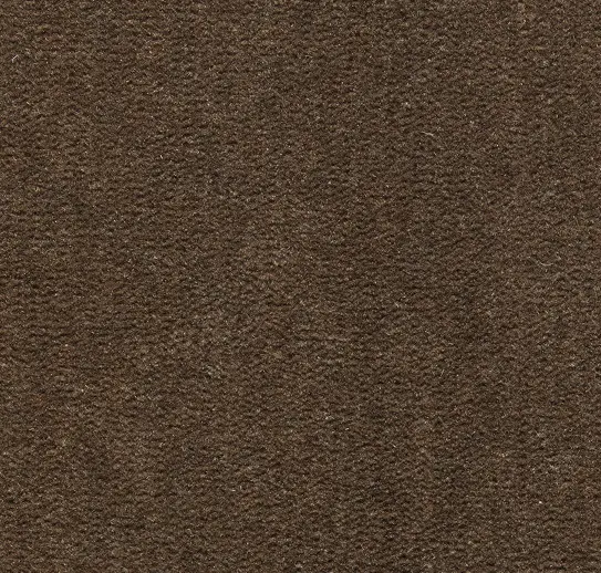 Cream textured carpet flooring for residential or commercial interior design.