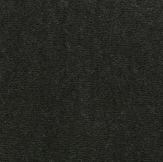 Dark textured carpet flooring in a modern interior setting.