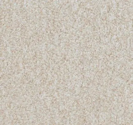 Boca Raton - Abiding Beige Cream textured carpet for home and office flooring, premium quality and durable material.