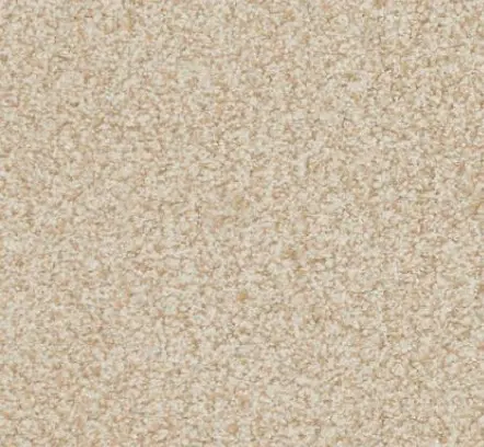 Boca Raton - Ageless Cream carpet flooring with plush texture for home and commercial spaces.