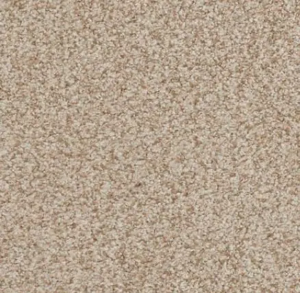 Boca Raton - Amazing Creatiflooring-beige-textured-carpet-flooring.