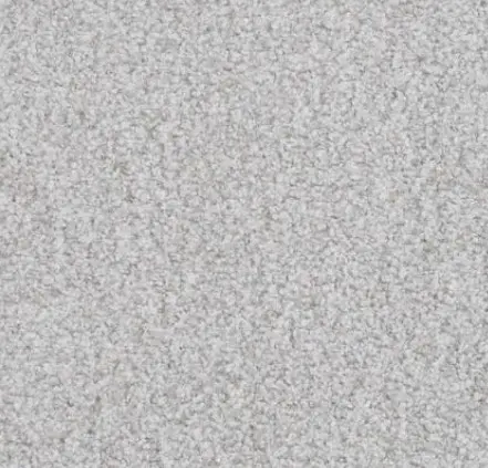 Boca Raton - Consistent Cream textured carpet flooring for home or office spaces.