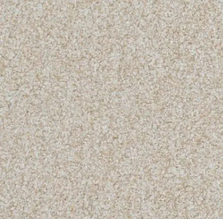 Boca Raton - Everlasting Cream-colored textured carpet with plush and durable fibers for residential and commercial spaces.