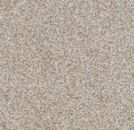 Boca Raton - Nonstop Soft beige carpet flooring with textured surface for residential and commercial spaces.
