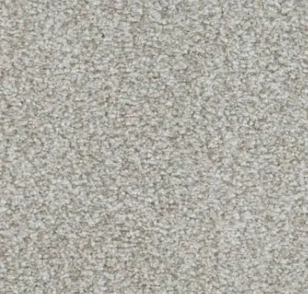 Boca Raton - Steadfast Cream-colored plush carpet flooring with soft texture, ideal for residential or commercial spaces.