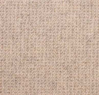Soft beige carpet with textured loop pile, ideal for residential and commercial flooring.