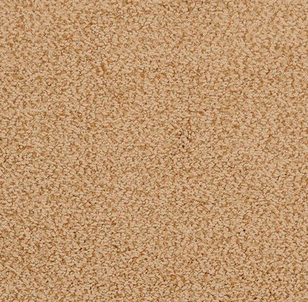 Soft beige carpet with textured plush finish, ideal for residential and commercial spaces.