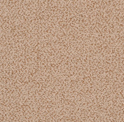 Textured beige carpet from Creative Floors, ideal for residential and commercial interiors.