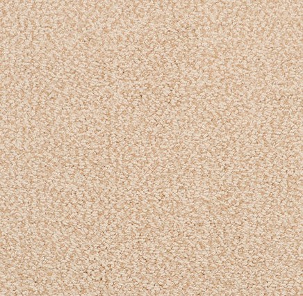 Soft beige carpet flooring with plush texture, ideal for residential and commercial spaces.
