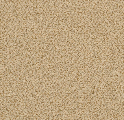 Luxury beige carpet flooring for residential and commercial spaces.