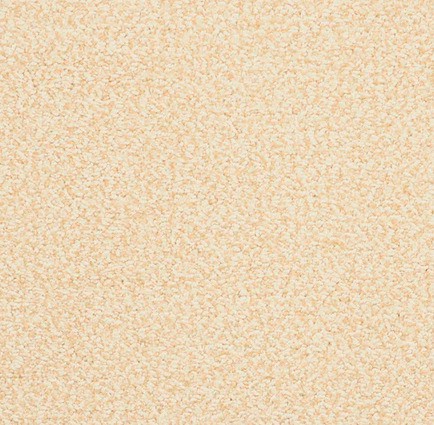 Soft beige textured carpet for residential or commercial flooring applications.