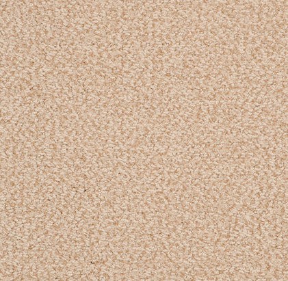Soft beige carpet with textured finish, perfect for residential flooring.