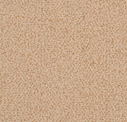 Cream beige carpet with textured finish for residential and commercial flooring.