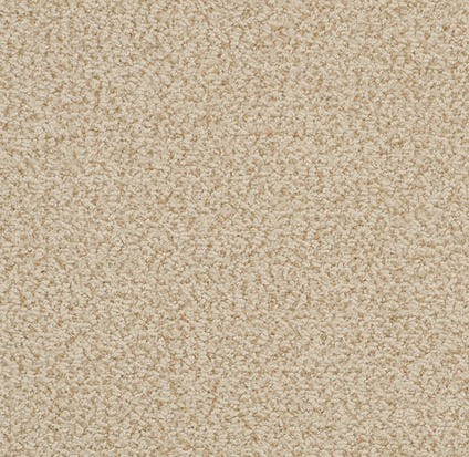 Beige carpet flooring in a residential living space.