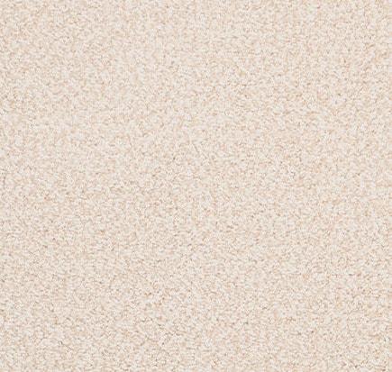 Cream textured carpet flooring with a soft, plush appearance for residential or commercial spaces.