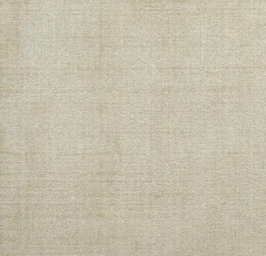 Cream beige textured carpet flooring in a modern interior setting.