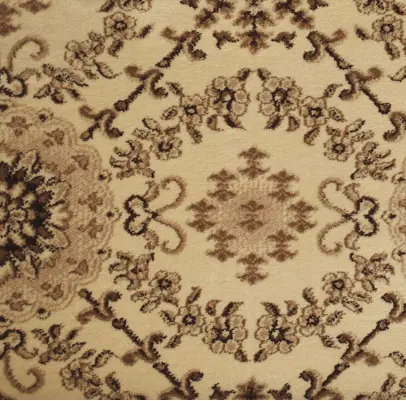 Intricate beige and brown patterned area rug with floral and geometric motifs.