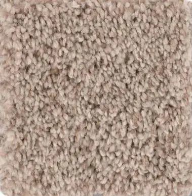 Calm Serenity II - Beige Bisque Luxurious beige carpet with plush texture for home or commercial flooring.