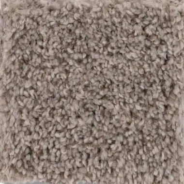 Calm Serenity II - Dark Maple Soft beige plush carpet with high pile, ideal for cozy living spaces and interior designs.