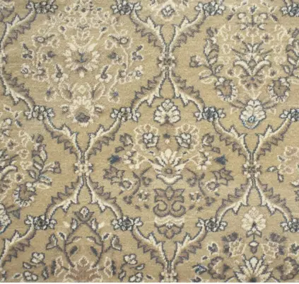 Elegant beige and gray patterned area rug with intricate floral design, ideal for living room decor.