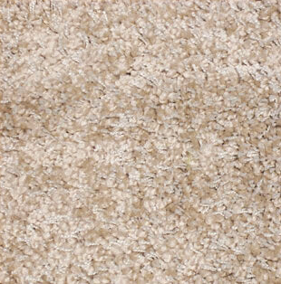 Beige plush carpet flooring with soft, textured surface.