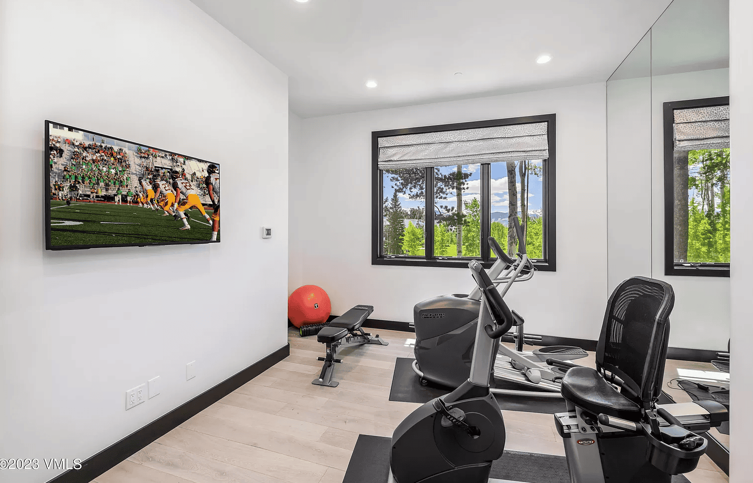 Bright modern home gym with workout equipment and natural light from large windows.