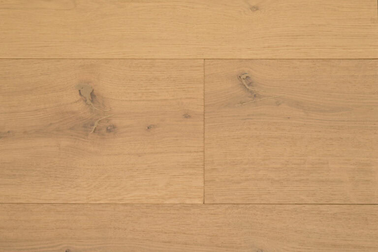 Coucy
