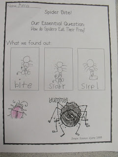 Spiders!