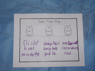 Fun with Owls!
